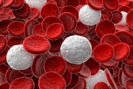有机的感染3d红血细胞和白的变异插图图片