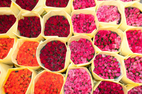 泰国曼谷花卉市场上的一连串玫瑰橙束花朵图片