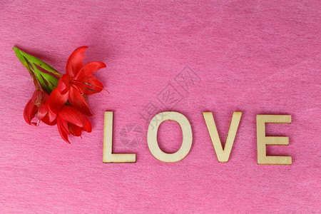 信木制的红花和爱情用木字写成为华伦天人节幸福图片