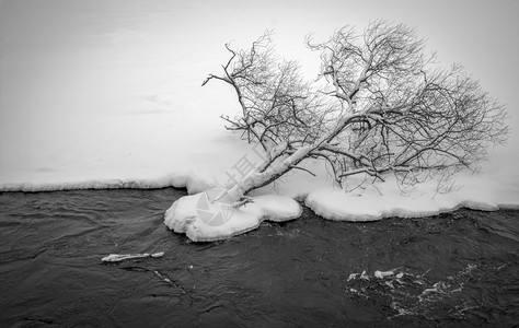 冬天的内里斯河风景寒冬多云的一天雪覆盖树附近的水流景观靠溪图片