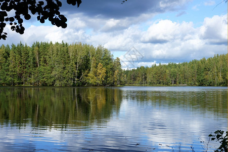 蓝天背景下的湖泊和树木田园诗般的池塘景观图片