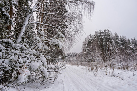 一种下雪的冬天寒森林中狭窄的道路云天下满是雪图片