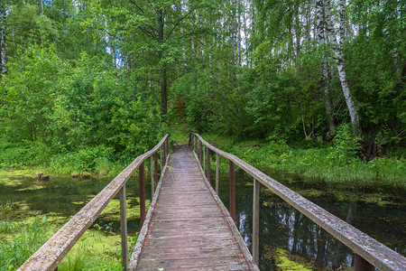 叉夏天科斯特罗马俄科托地区Kadyysky区通往MaryMagdalene圣泉的Wooden桥图片