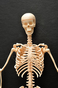 黑色的骨骼顶部分在黑色背景上被隔离里面图片