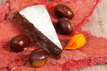 秋天卡路里季美味的栗子蛋糕片棕色的高清图片