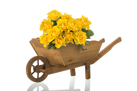 白色的优质带花朵黄色玫瑰的木制车轮维林克图片