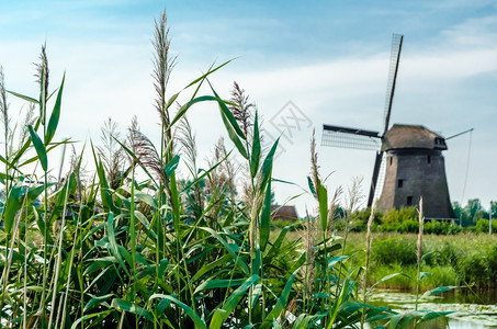 景观荷兰语典型风景旅游图片