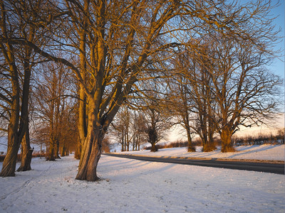 冬季穿过树木的一条连锁公路英格兰东北部约克郡景观艾伦王国图片
