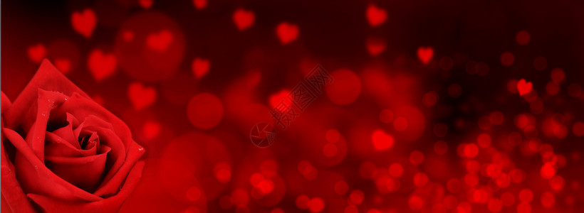 散景心形上的一朵红玫瑰全景尺寸的红色模糊灯光背景天花的背景图片