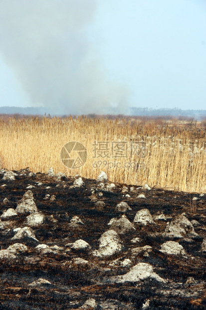 田野的烧草农业村火焰图片