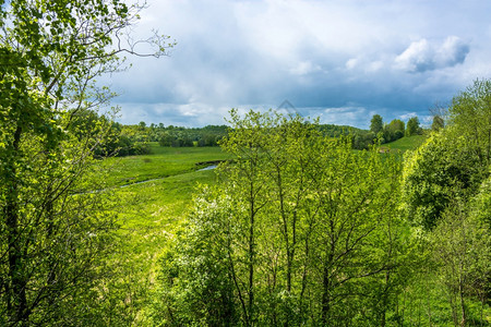 绿色树中央在俄罗斯部的春日美丽风景中俄国部图片