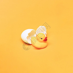 黄死活浴鸭蛋厨房生黄色的图片