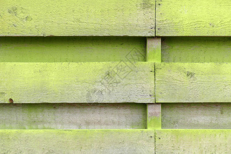 沦荷兰莱默有带藻类的木板和海藻的风景栅栏静脉刷子图片