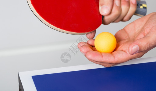 红色的匹配乒乓球比赛中玩家游戏运动图片