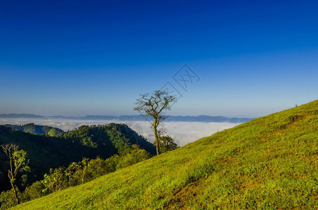 夏日山顶的云海和远山图片