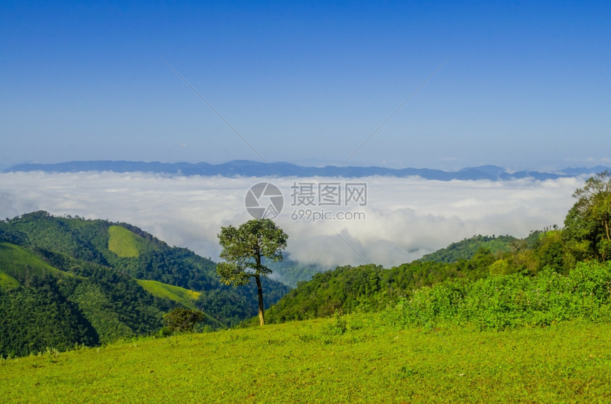 夏日山顶的云海和远山图片