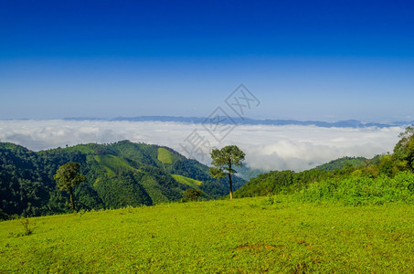 夏日山顶的云海和远山图片