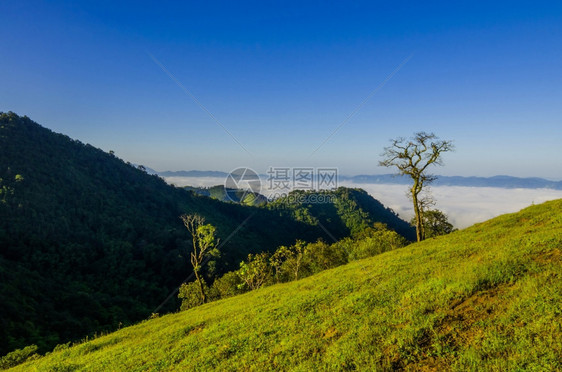 夏日山顶的云海和远山图片