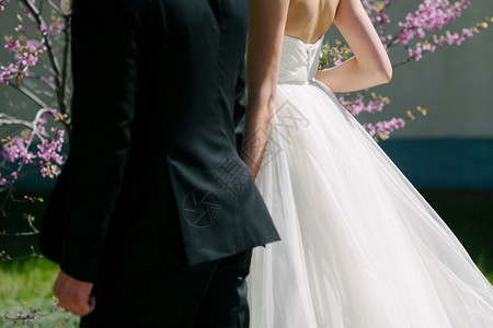 穿西装的新郎拥抱穿着婚纱的新娘特写穿西装的新郎拥抱穿着婚纱的新娘丈套装图片