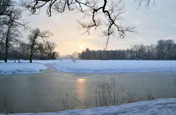 树日落在雪地瓦塞纳尔阳光图片