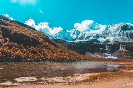 远处的雪山和近处的河流图片