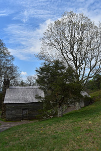 百望山森林公园山间的小屋背景