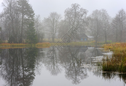 秋天被薄雾笼罩的湖面图片