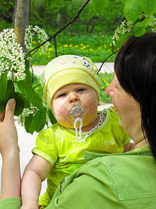 孩子一个穿着绿西装的小孩坐在他母亲的怀抱里寻找一枝小树女孩乳头图片