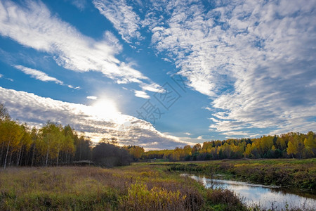 蓝天白云下秋天的沼泽图片