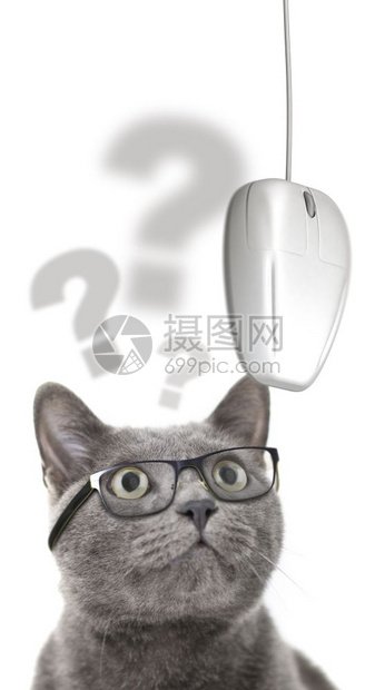 更正宠物戴眼镜的猫在白色背景上看着电脑鼠标有视力问题的猫看着电脑鼠标卡片图片