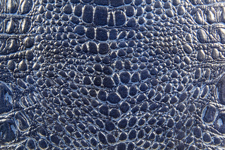 翡翠蜥蜴设计图片