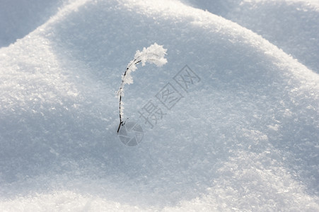一种十二月天寒冬日冰霜刀刃带图片