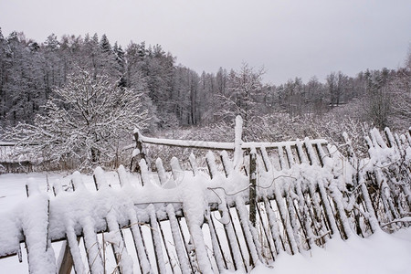 俄罗斯的混乱冬季风景一片被落下的木墙壁覆盖着乌云天下雪一种木制的乡村图片