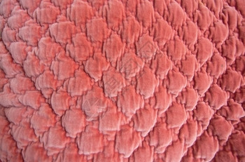覆盖为了达斯丁橘橙色被缝的枕头遮盖内部背景特写被子图片