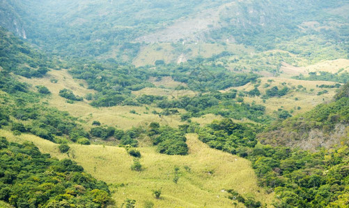 环境ChicoasenDamHillside朦胧的山坡墨西哥树木图片