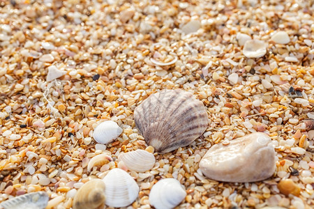 沙子碎石贝壳近岸海夏天鹅卵石图片