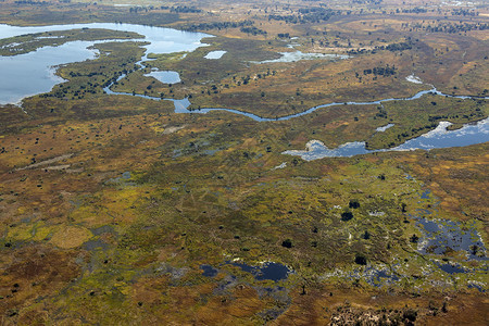沼泽艾伦非洲博茨瓦纳北部奥卡万戈三角洲的一小部分空中观察非洲北部景观图片