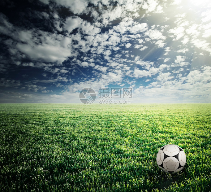 草皮土地田野绿中的足球风景图片