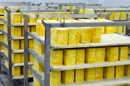 成熟乳制品工厂硬干酪的业生产奶酪非常美味健康的产品a食品图片