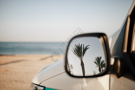 汽车反光镜里的棕榈树图片