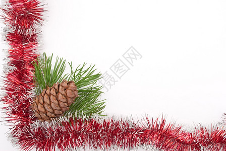 树自然圣诞节装饰松树图片