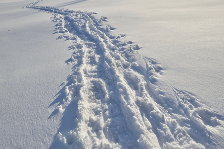 汽车穿行雪地留下的轨迹图片