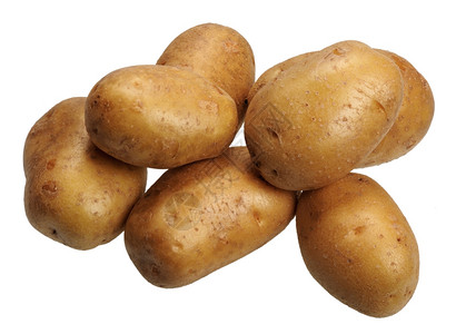 旋风土豆设计图片