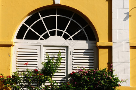 装饰风格黄墙旧建筑的白色窗子历史老的图片