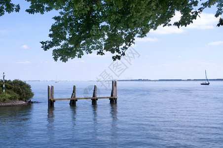 海岸草在荷兰的Haringvliet湖船和树在前景下白色的图片