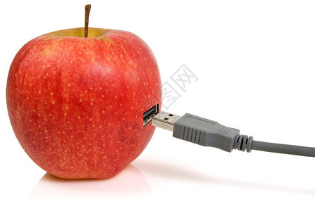 电缆苹果和USB插头的科学和自然共生概念连接器联系图片