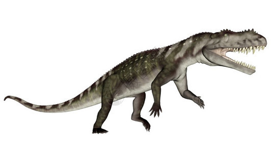 野生动物三叠纪恐龙在白色背景下咆哮三维化身数字的图片