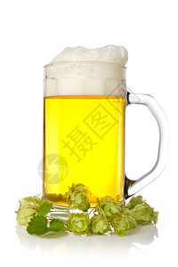 白色背景上跳的啤酒杯植物农业草本背景图片