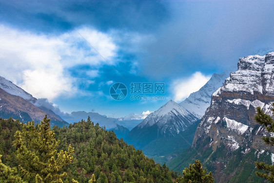 雪山和森林图片