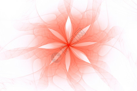 白色的背景红分形开花或恒星摘要红色的未来背景图片
